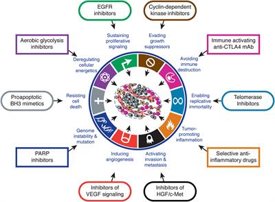 Tumor Profiling at the Service of Cancer Therapy